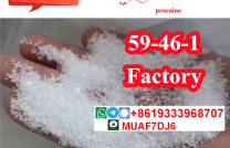 Procaine CAS59-46-1 Procaine Base Procaine Powder  mediacongo